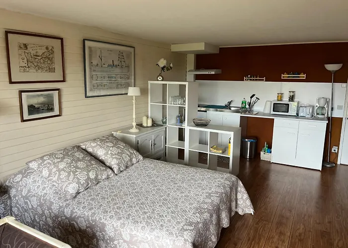 Grand Studio Vue Mer Et Jardin